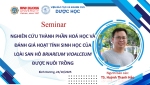 BACKGROUND SEMINAR 24 10 2025